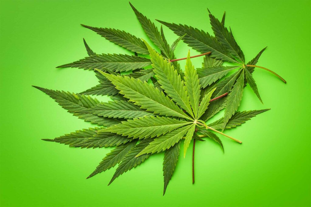 cannabis green zones